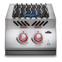 Вбудована подвійна конфорка з освітленням регуляторів та кришкою з нержавіючої сталі Napoleon 700 Series