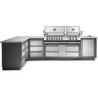 Літня кухня Napoleon Oasis 300 із грилем BIPRO 825