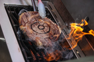 sizzle zone napoleon le3